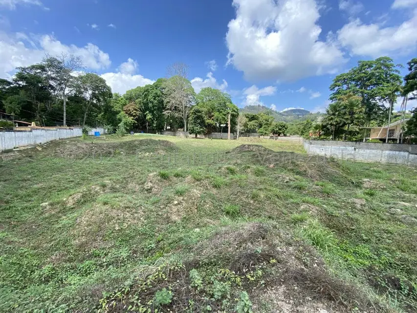 Terreno (Comercial) en Venta en El Peñon, Distrito Metropolitano - 5