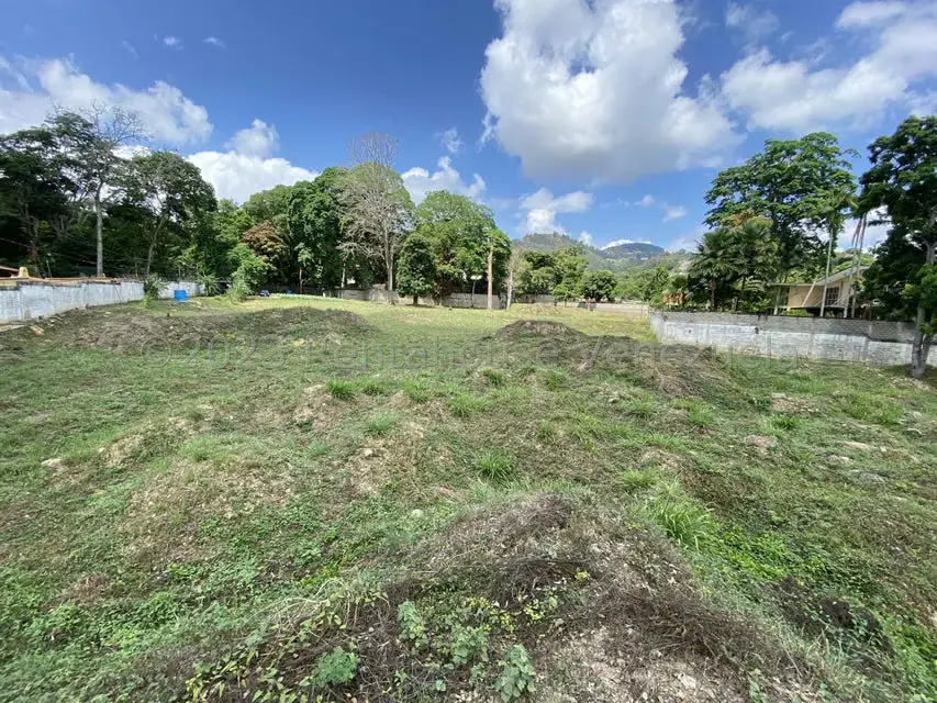 Terreno (Comercial) en Venta en El Peñon, Distrito Metropolitano - 6