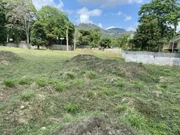 Vista 7