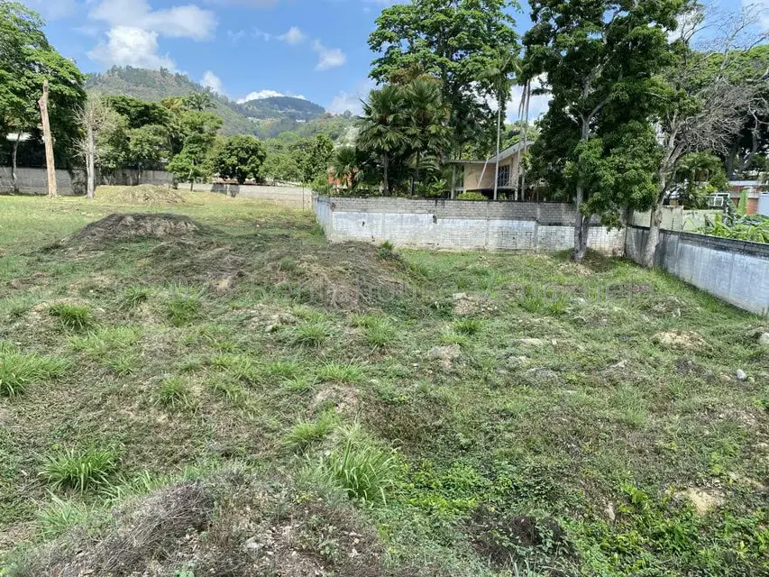 Terreno (Comercial) en Venta en El Peñon, Distrito Metropolitano - 8