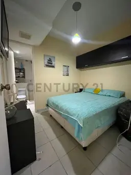 Vista 34