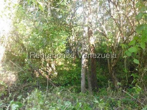 Terreno (Comercial) en Venta en Hacienda El Banquito, Miranda - 17