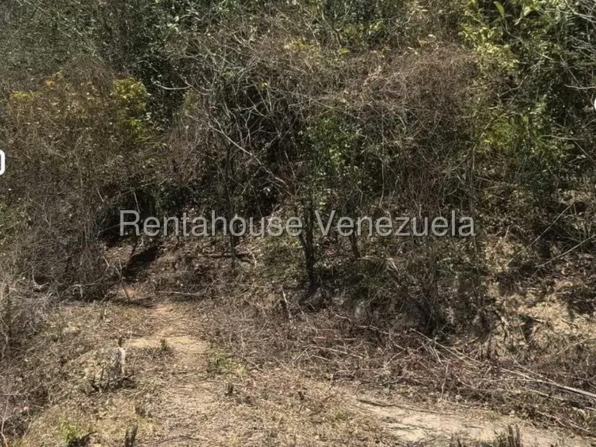 Terreno (Comercial) en Venta en Hacienda El Banquito, Miranda - 5