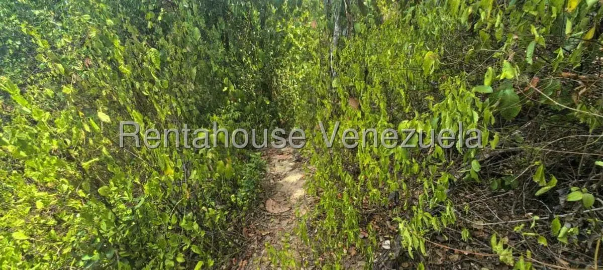 Terreno (Comercial) en Venta en Hacienda El Banquito, Miranda - 8