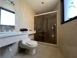 Vista 6