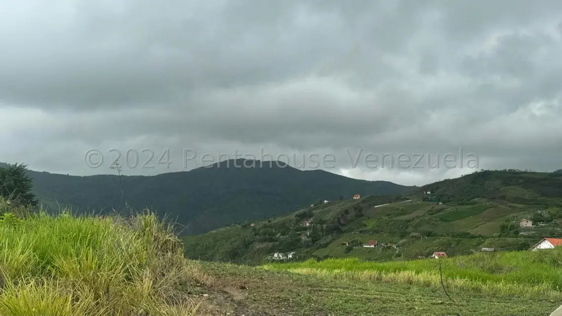 Terreno (Comercial) en Venta en Sector Potrero Perdido, Aragua - 14
