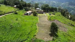 Vista 16