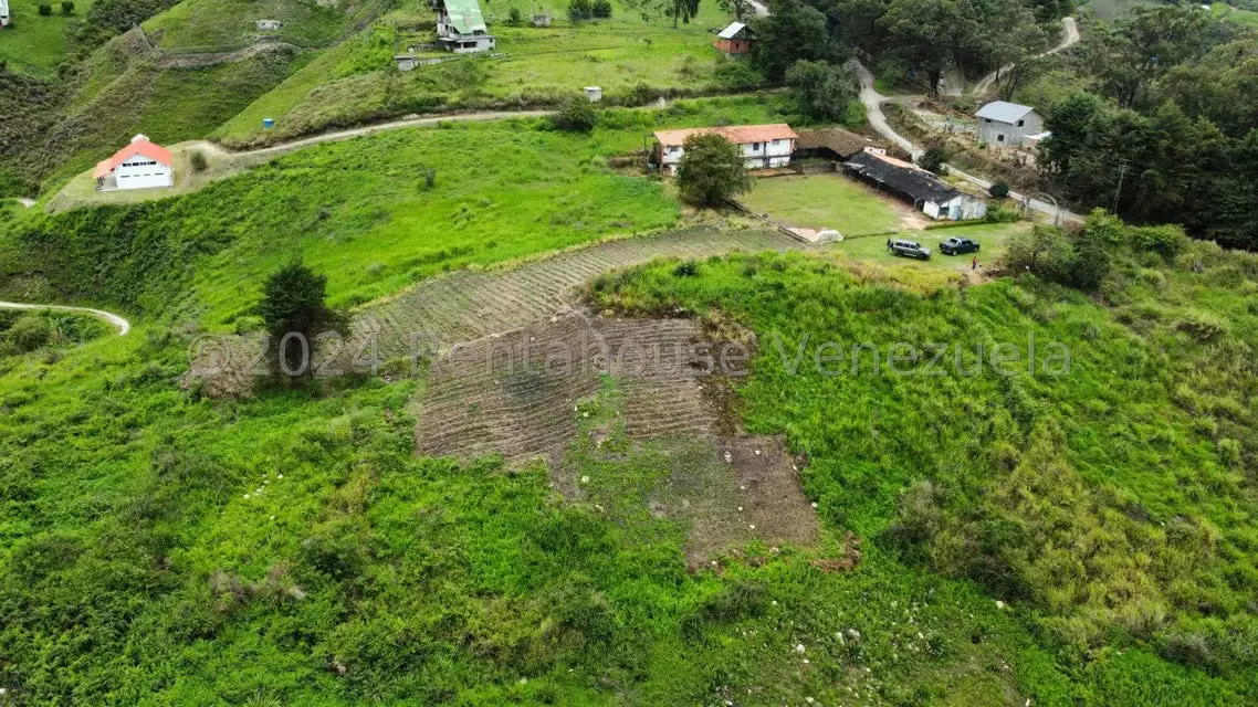 Terreno (Comercial) en Venta en Sector Potrero Perdido, Aragua - 2