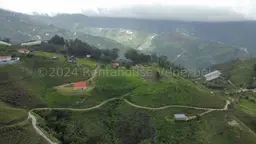 Vista 9