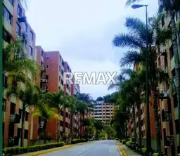 Vista 1