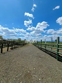 Vista 1