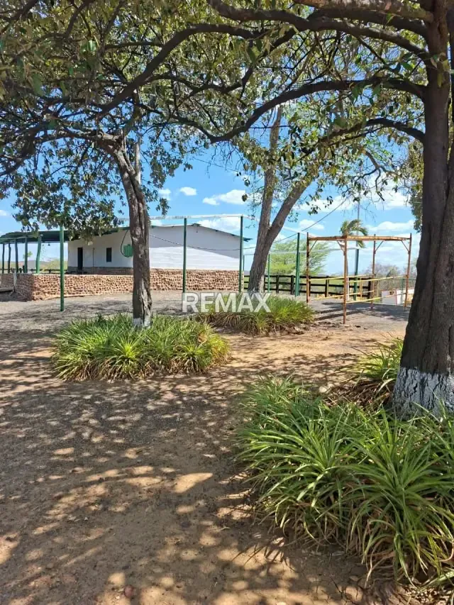 En venta finca (extensión de terreno) hato 26 - 2