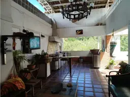 Vista 19
