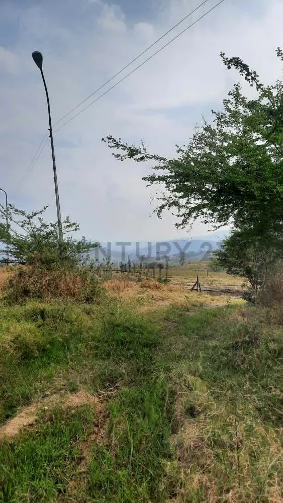 venta terreno tariba - 3