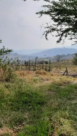 Vista 6