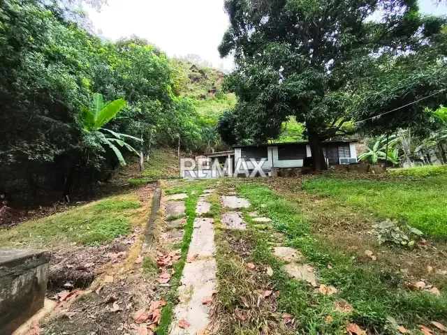 TERRENO PLANTA VIEJA EL CASTAÑO
