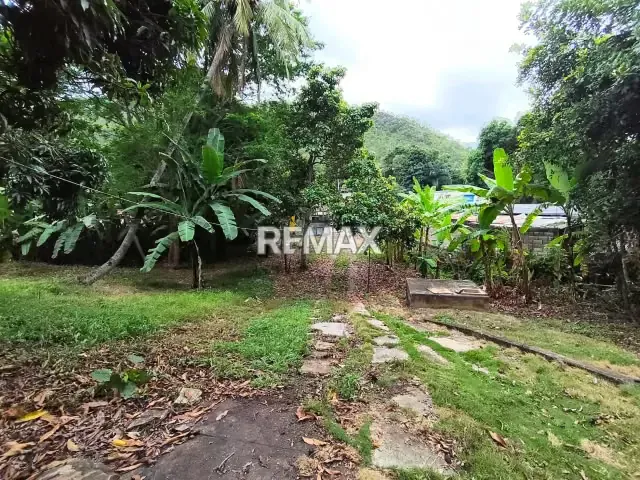 TERRENO PLANTA VIEJA EL CASTAÑO - 5