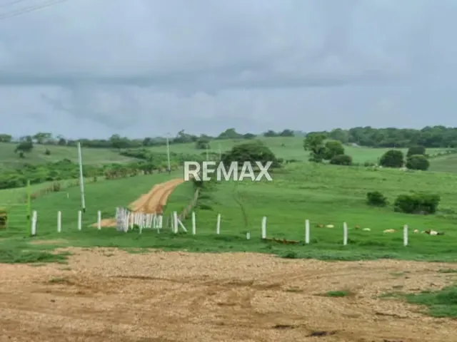 Se Vende Finca Totalmente Operativa Y Productiva, Cercana Al Parque Nacional Morrocoy