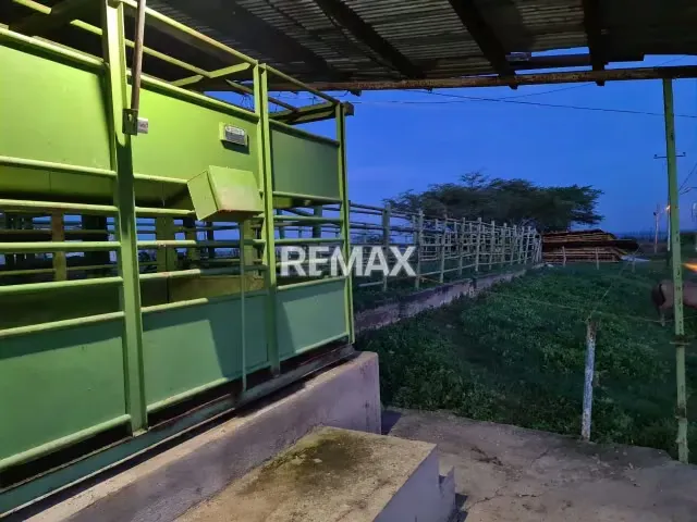 Se Vende Finca Totalmente Operativa Y Productiva, Cercana Al Parque Nacional Morrocoy - 14