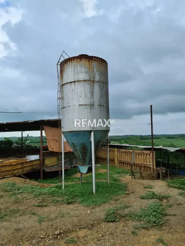 Se Vende Finca Totalmente Operativa Y Productiva, Cercana Al Parque Nacional Morrocoy - 15