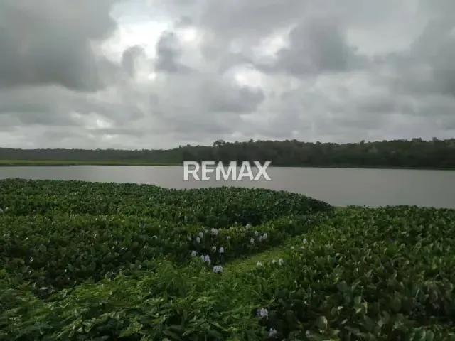 Se Vende Finca Totalmente Operativa Y Productiva, Cercana Al Parque Nacional Morrocoy - 20