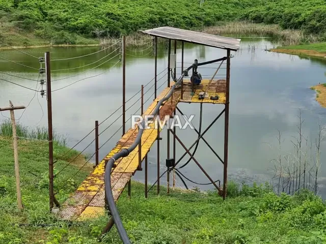 Se Vende Finca Totalmente Operativa Y Productiva, Cercana Al Parque Nacional Morrocoy - 4