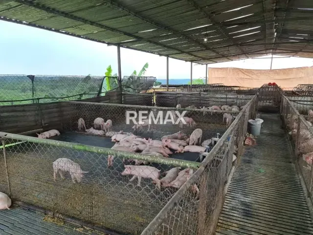 Se Vende Finca Totalmente Operativa Y Productiva, Cercana Al Parque Nacional Morrocoy - 5