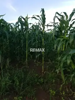 View 10