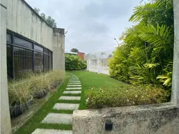 Vista 5