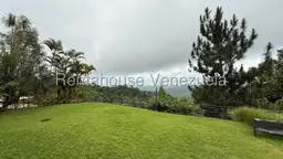 View 40