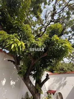 View 14