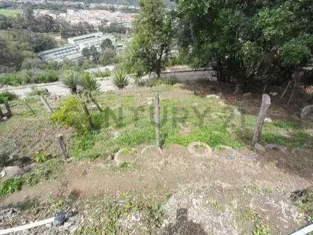 En venta Terreno Plaza Sucre - 2