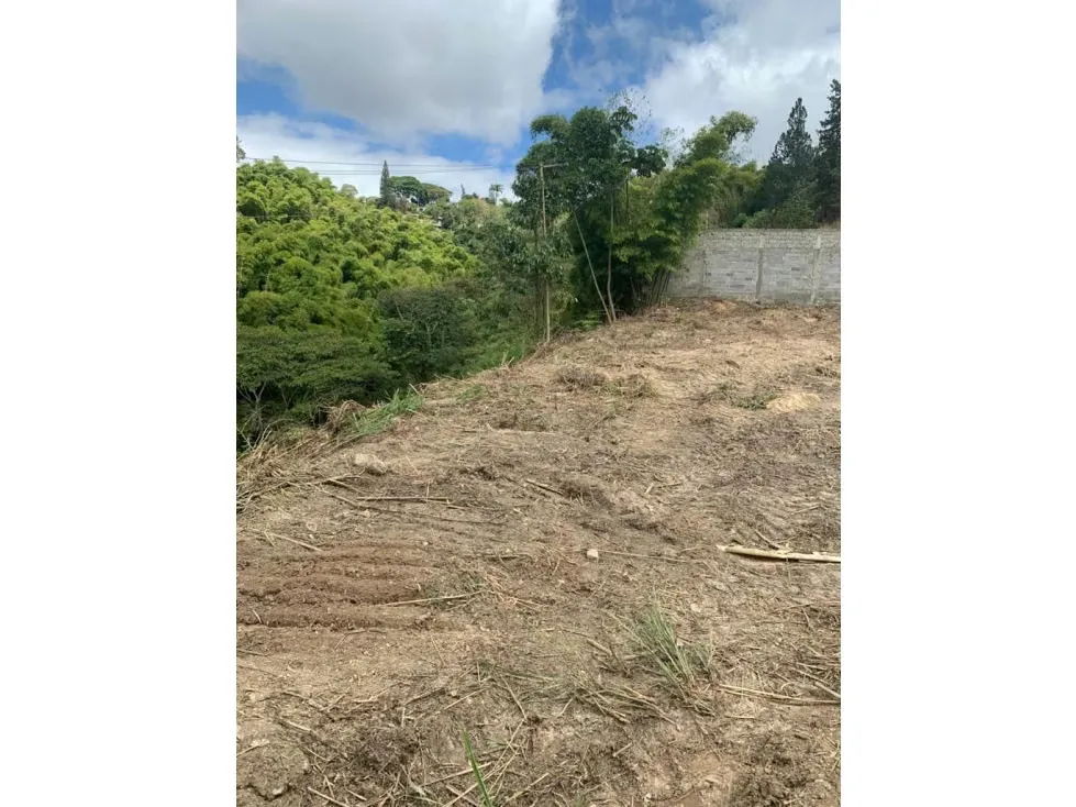 Vendo terreno 880mts2 Monterrey 9457 - 2