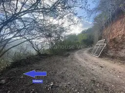 Vista 6