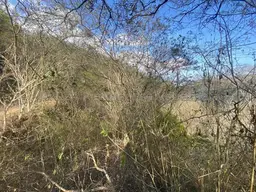 Vista 8