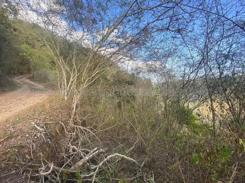 Terreno (Finca) en Venta en El Hatillo, Distrito Metropolitano - 9
