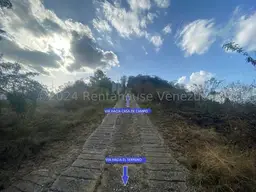 Vista 10