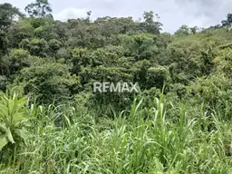 View 1