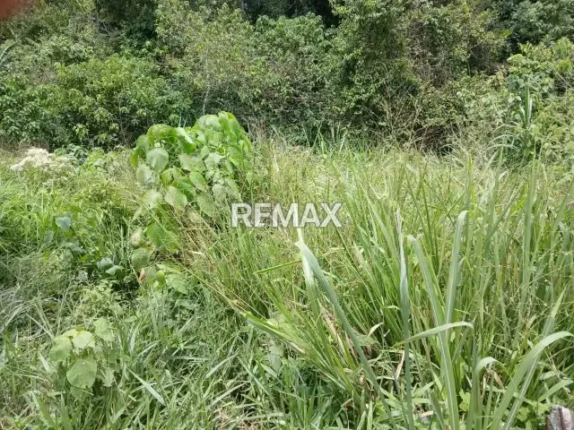 TERRENO EN VENTA - 2