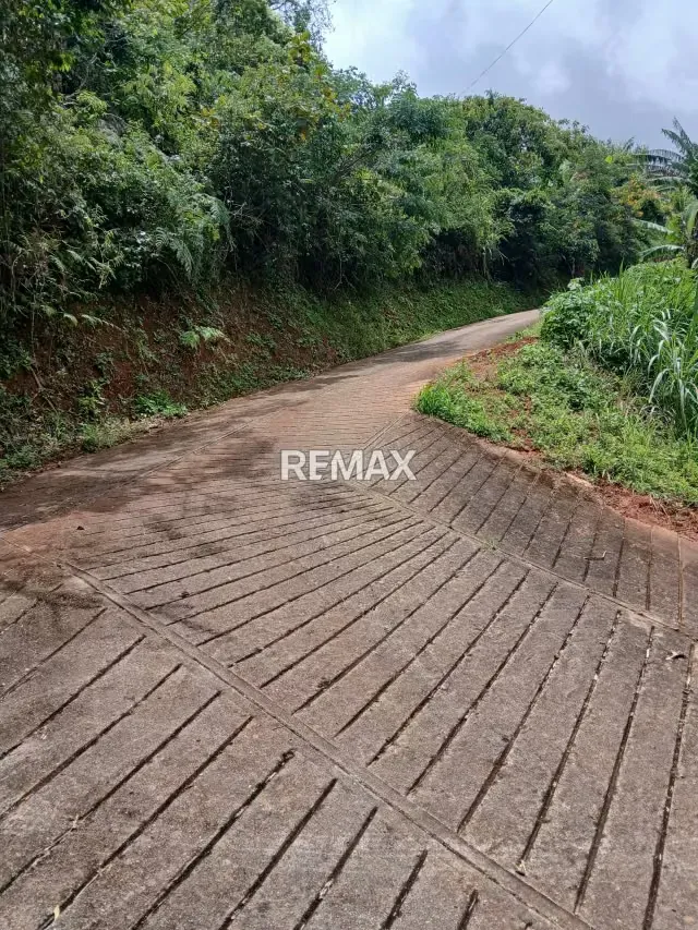 TERRENO EN VENTA - 3