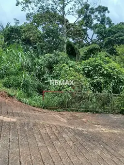 View 4