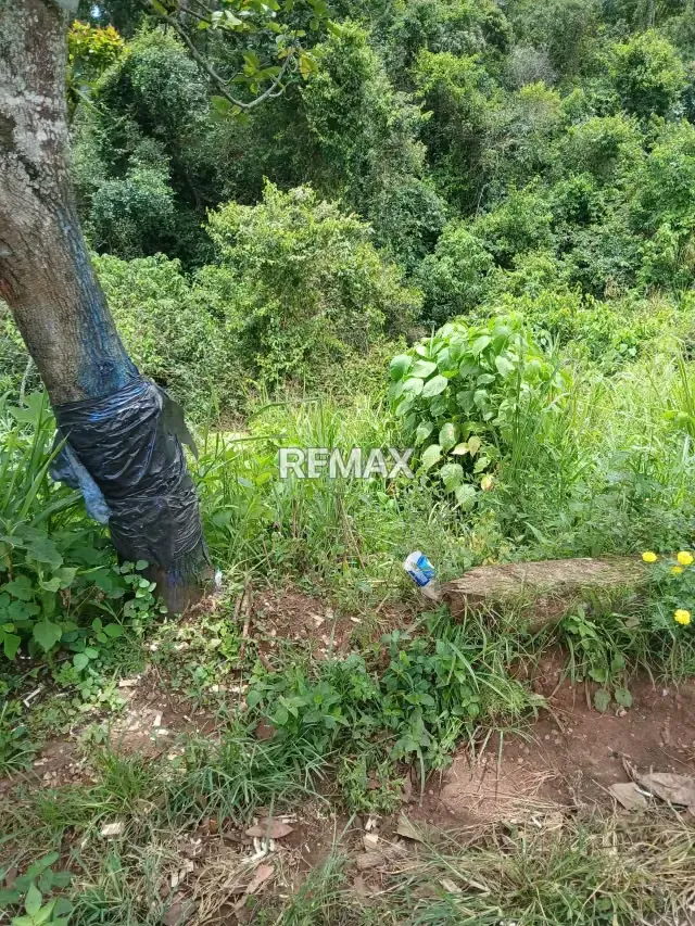 TERRENO EN VENTA - 5