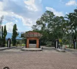 View 1