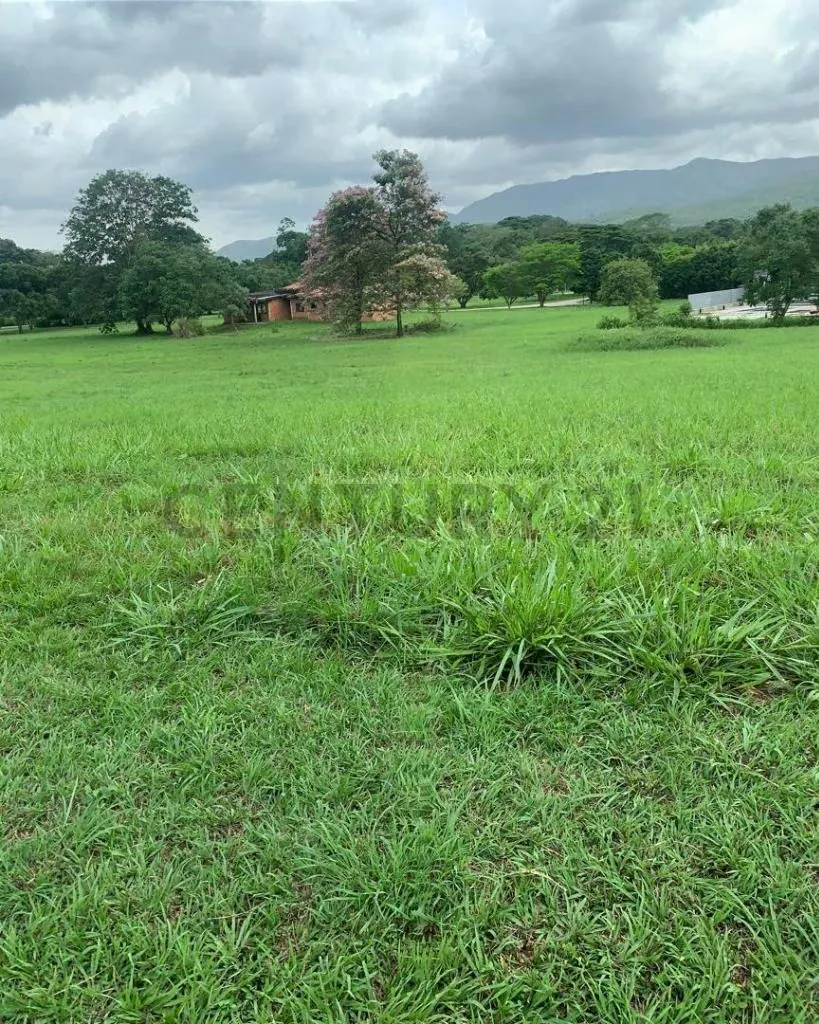 Se vende parcel la de 2600 mts2 - 3