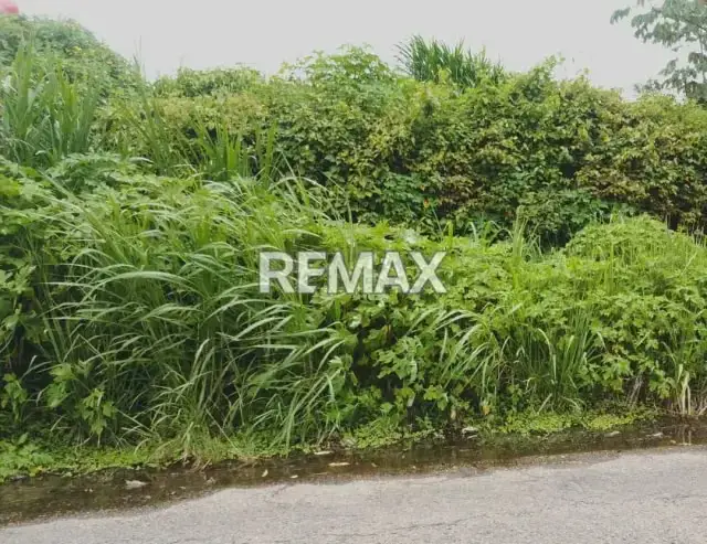 En venta Lote de Terreno ubicado en Pan de Azúcar