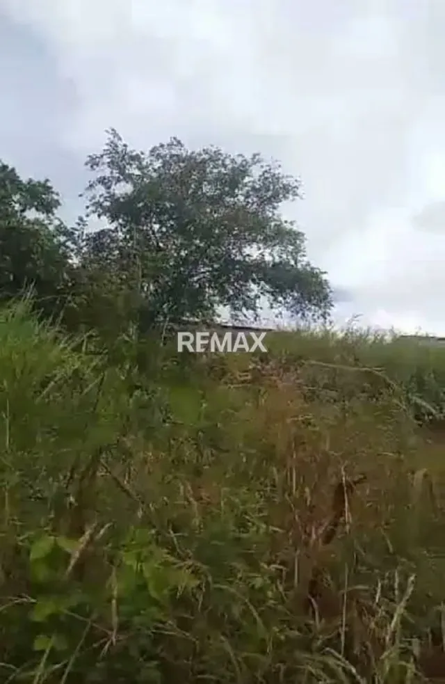 En venta Lote de Terreno ubicado en Pan de Azúcar - 3