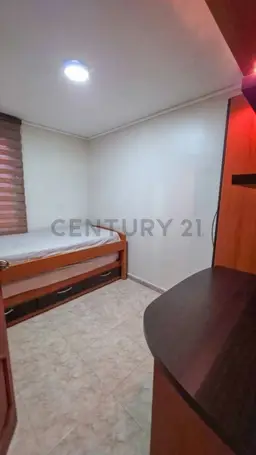 Vista 11
