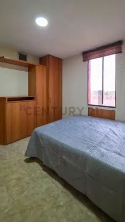 Vista 15