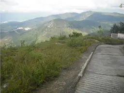 Vista 4