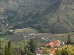 Vista 6